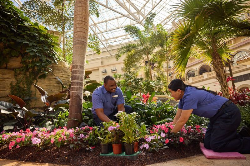 Gaylord Palms Resort horticolture