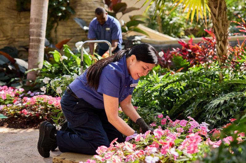 Gaylord Palms Resort horticolture