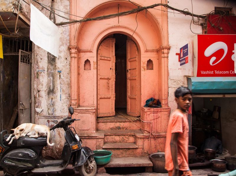 Boy and dog at the Chandni Chowk market  in Old Delhi