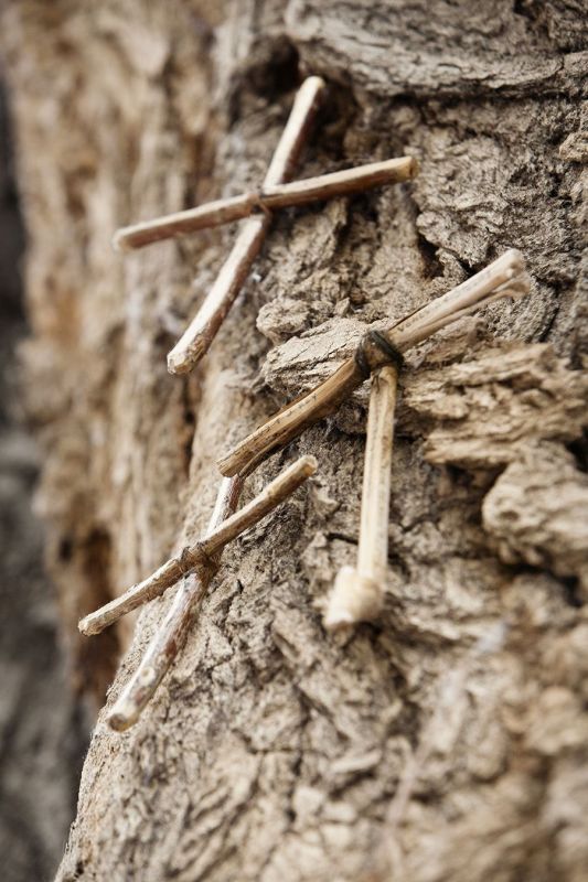 Wooden cross hanging on a tree, Santa Fe