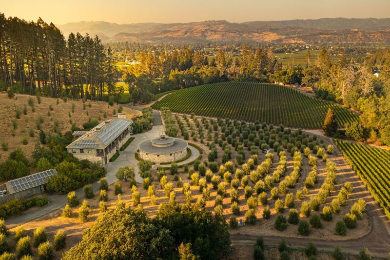 Aerial view of the Marciano Estate Winery, St. Helena CA